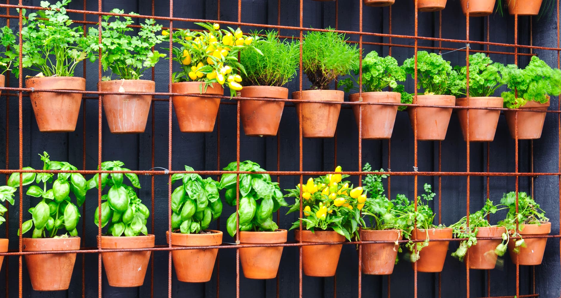 Small Space, Big Impact: Maximizing Growth With Nursery Containers